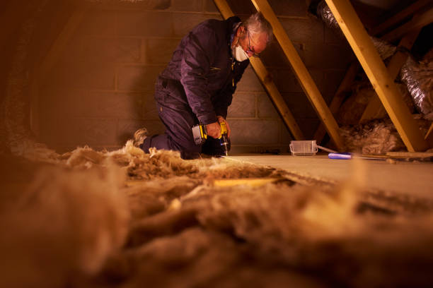 Best Insulation Replacement Services  in Honaker, VA